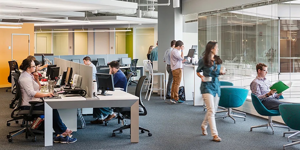 Bright open-plan office with desks, computer monitors and natural light
